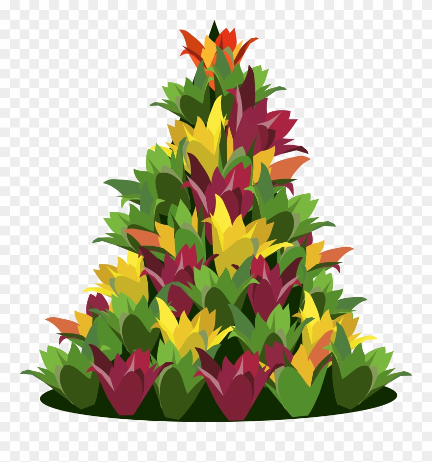 Big Image - Portable Network Graphics Clipart