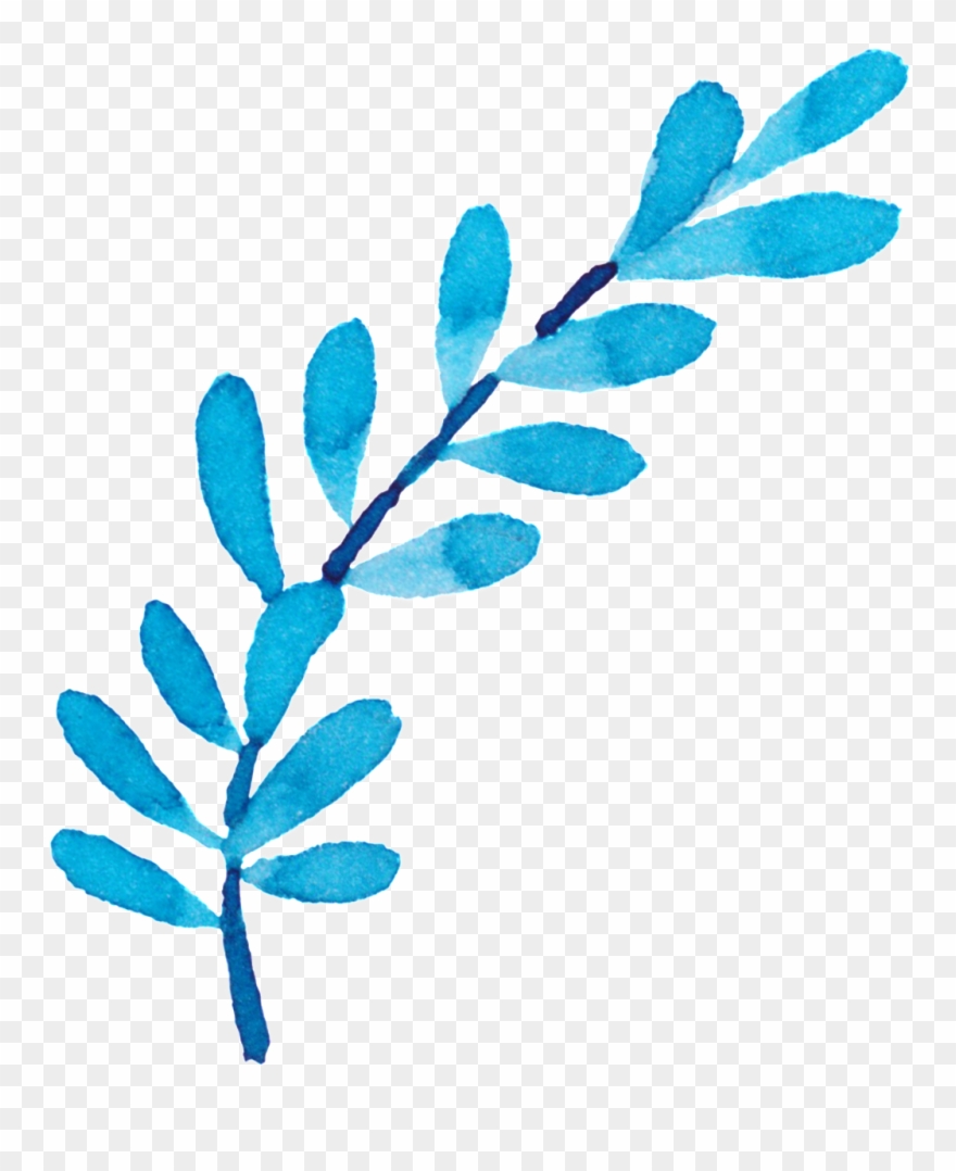 Watercolor Branch Decoration Vector - Kamera Mit Blau-blätter U. Schmetterlinge Danken Karte Clipart