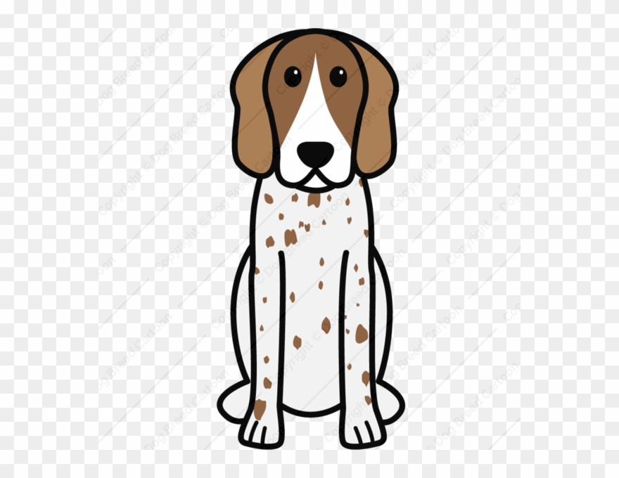 American English Coonhound Color Edition Dog Breed - English Pointer Cartoon Clipart