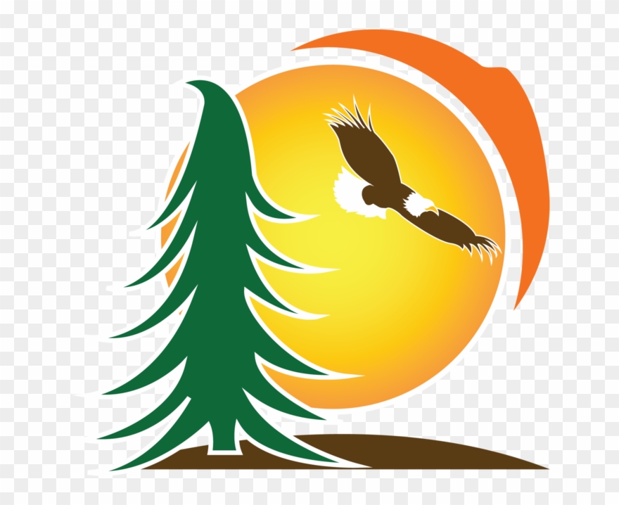 Picture Transparent Library Camp Crystal Lake Clipart - Lake Ellen Camp - Png Download