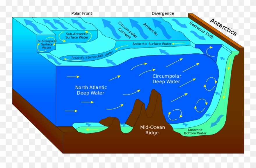 Antarctic Convergence And Divergence Clipart