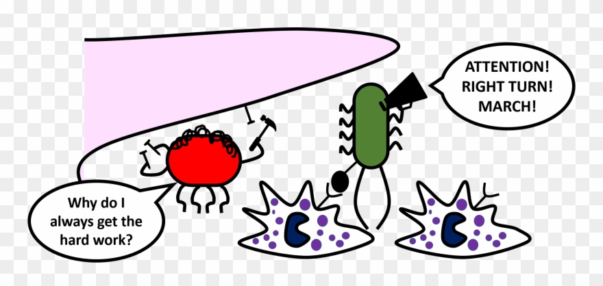 Whenever We Developed A Sore Throat Or A Whooping Cough, - Troy High School Clipart