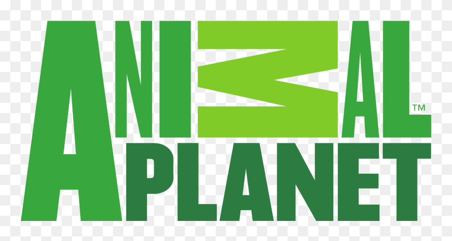 67 - - Animal Planet Logo Png Clipart (#884957) - PinClipart
