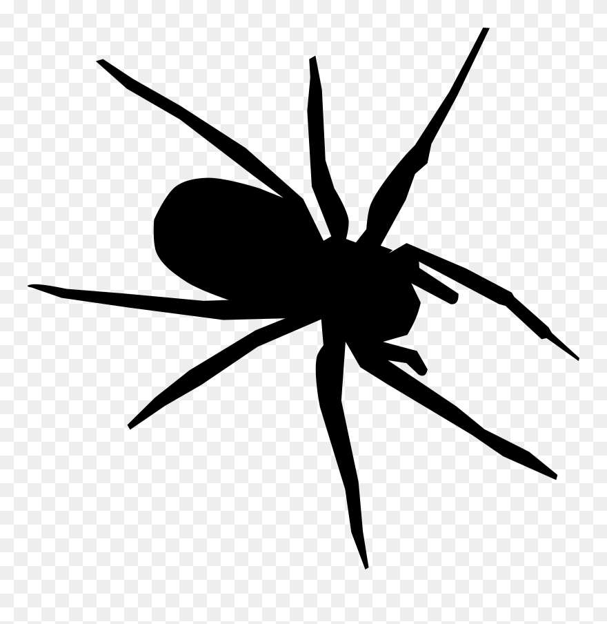 Insect Clipart Spider - Spider Drawing - Png Download