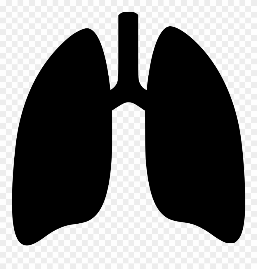 Black And White Lung Clipart - Png Download