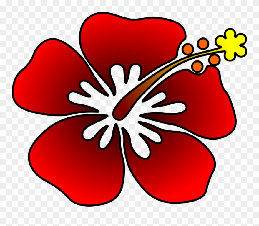 Com Plants Cut Flowers - Flower Clipart