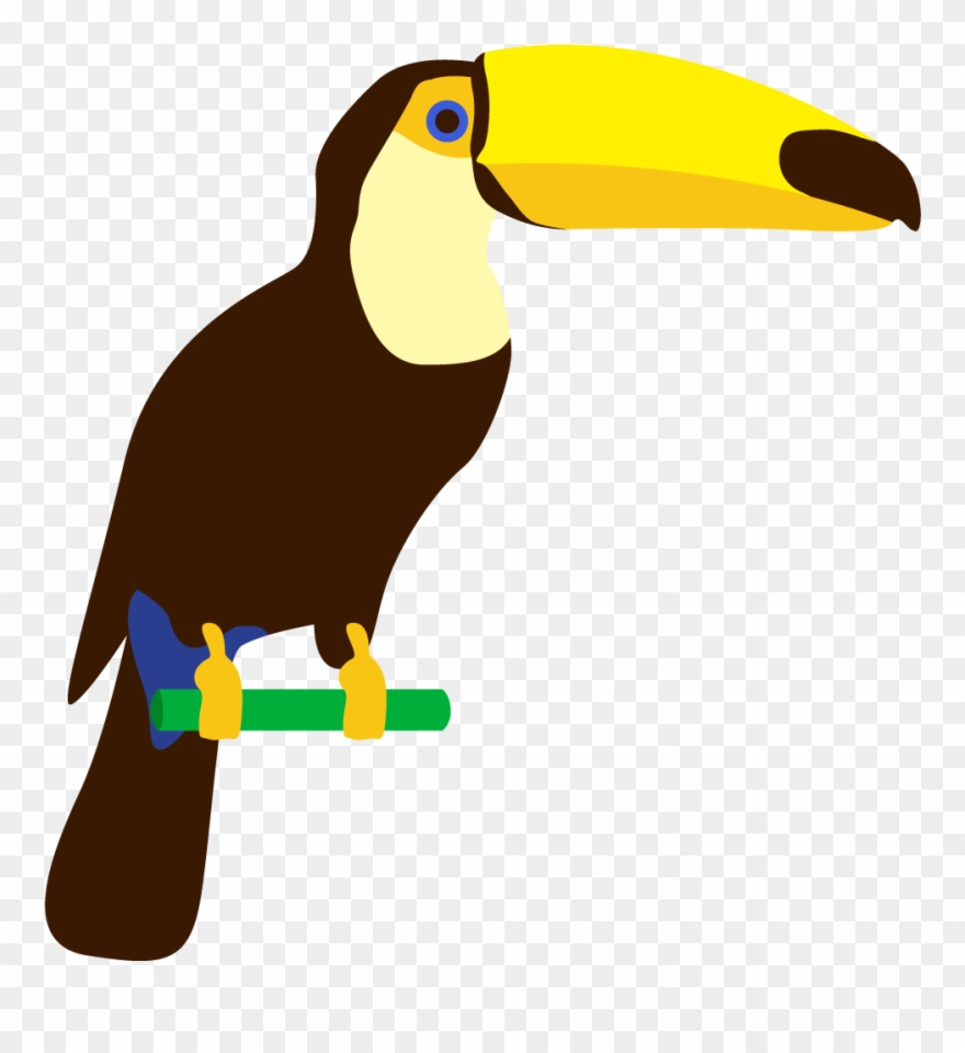 Parrot Toucan Art Cartoon Banner - Papagaio Png Desenho Clipart