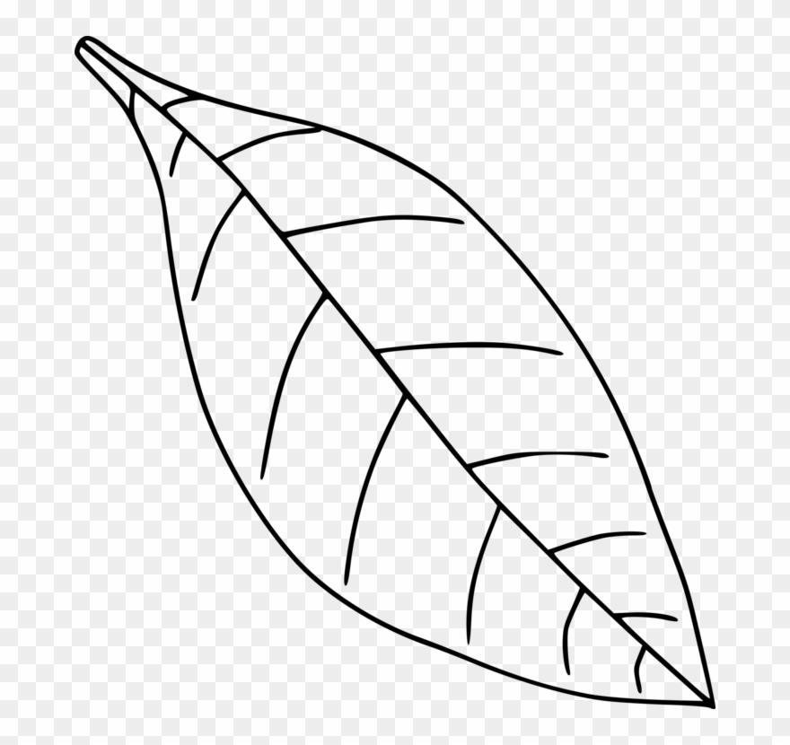 All Photo Png Clipart - Clip Art Black And White Leaf Transparent Png