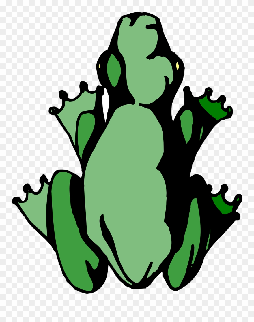 Cartoon Frog Birds Eye View Clipart