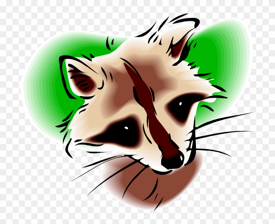 Raccoon - Clip Art - Png Download