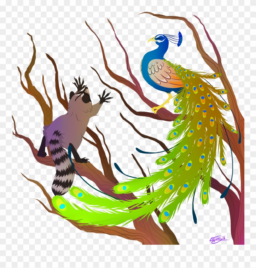 Peacock And Raccoon - Illustration Clipart