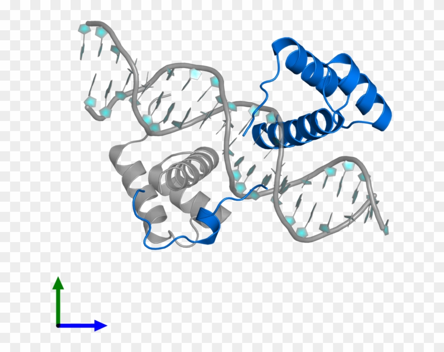 <div Class='caption-body'>pdb Entry 2r5z Contains 1 - Illustration Clipart