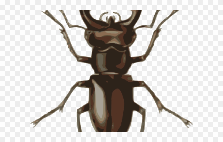 Lady Beetle Clipart Kumbang - Stag Beetle - Png Download
