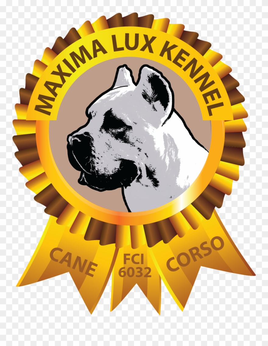 Cane Corso Europe - Cane Corso Clipart
