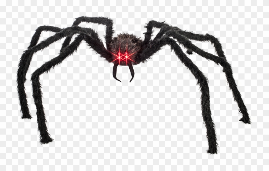 Props Giant With Lighted Red Eyes Case - Black Spider Red Eyes Clipart