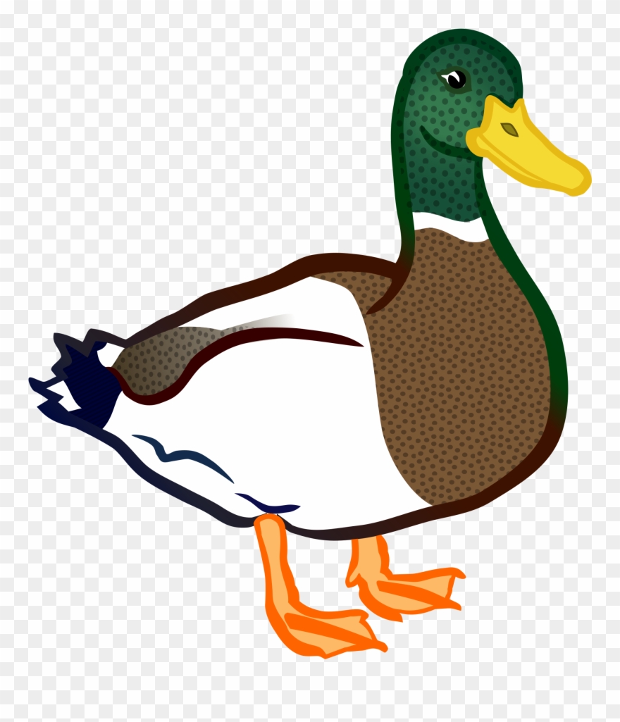 Log In Sign Up Upload Clipart - Clip Art Duck Png Transparent Png