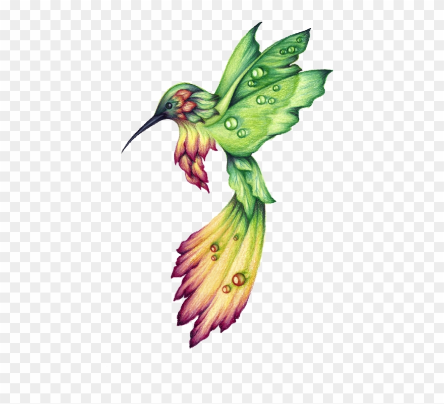 Png Royalty Free Download Clockwork Drawing Hummingbird - Hummingbird Drawing Clipart
