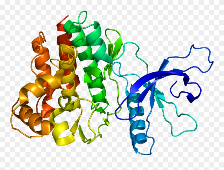 Discovery The Target Initiative - Janus Kinase 3 Clipart