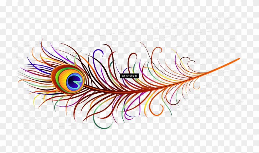 Peacock Feather - Feather Clipart