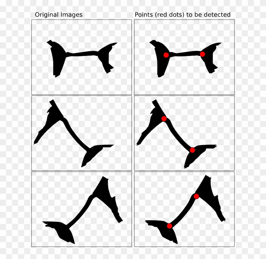 Image Is Here - Prune Skeleton Python Clipart