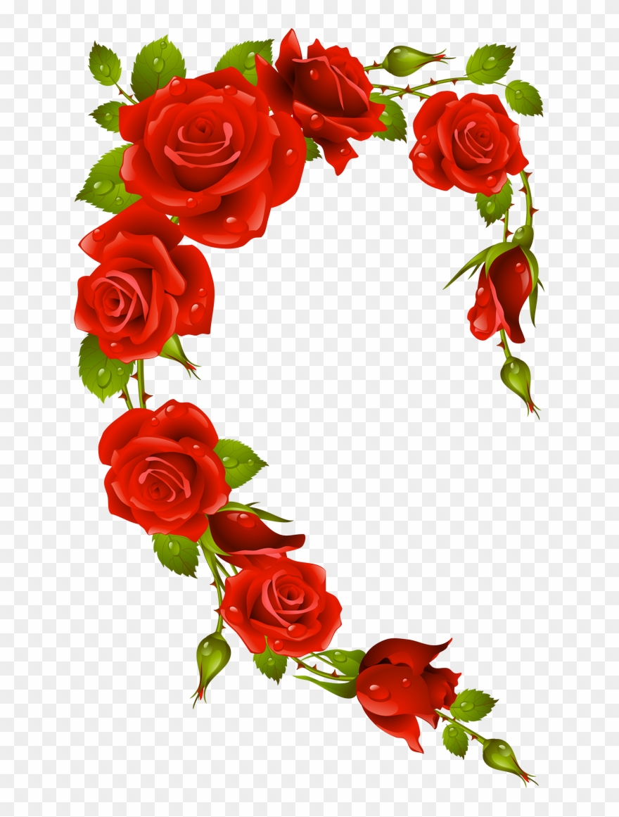 Фото, Автор Missis - Fleur Rose Et Blanche Clipart