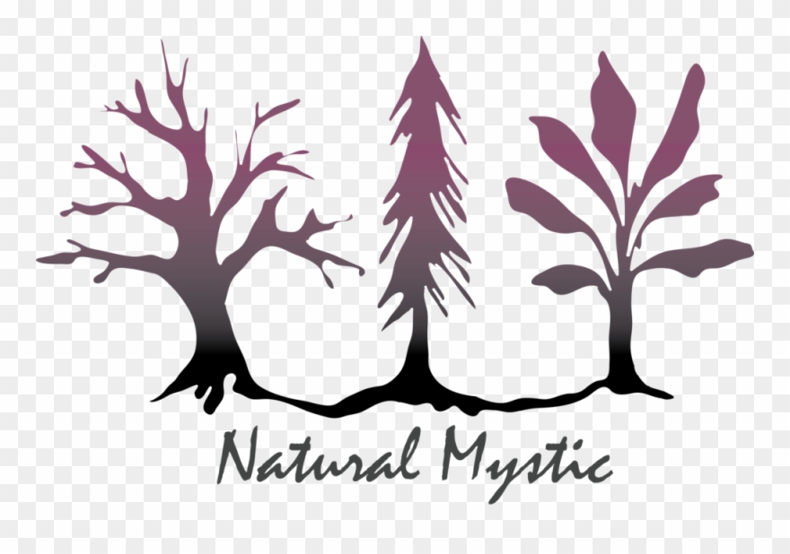 Sarah Logo - Portable Network Graphics Clipart