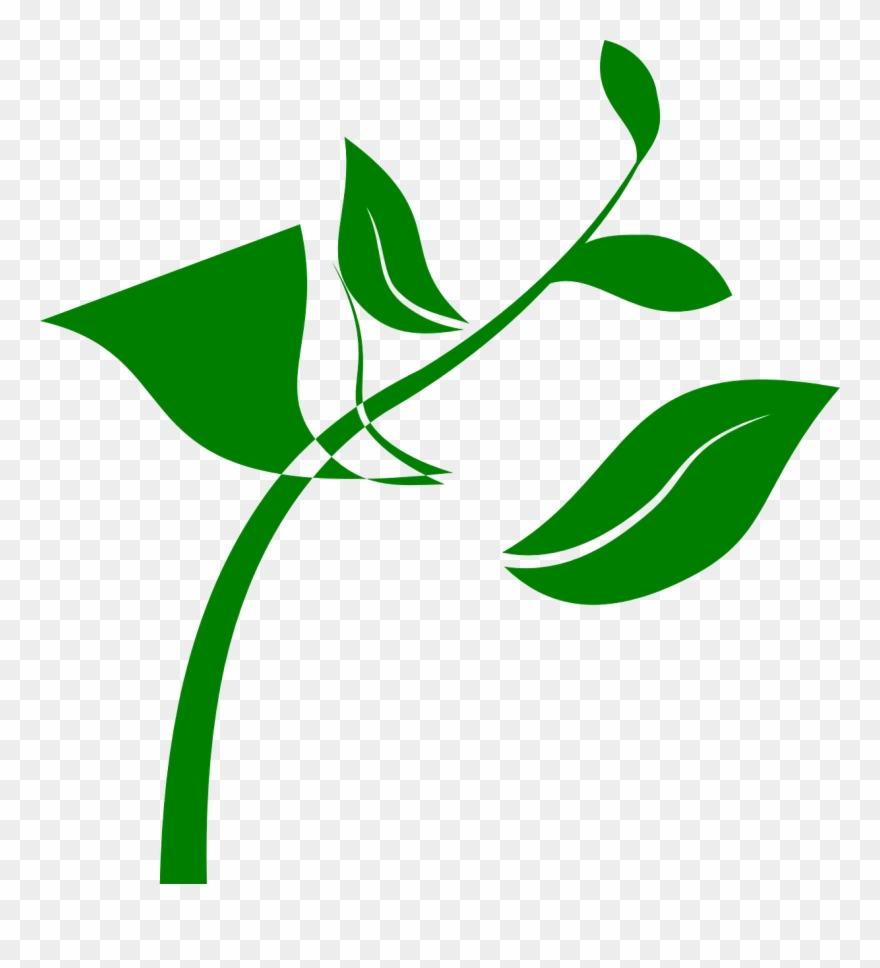 Swirl, Nature, Landscapes - Bud Of Plant Clipart - Png Download