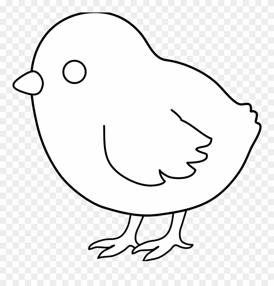 Chick Coloring Pages Cute Baby Chick Coloring Pages - Baby Chick Clip Art Black And White Free - Png Download