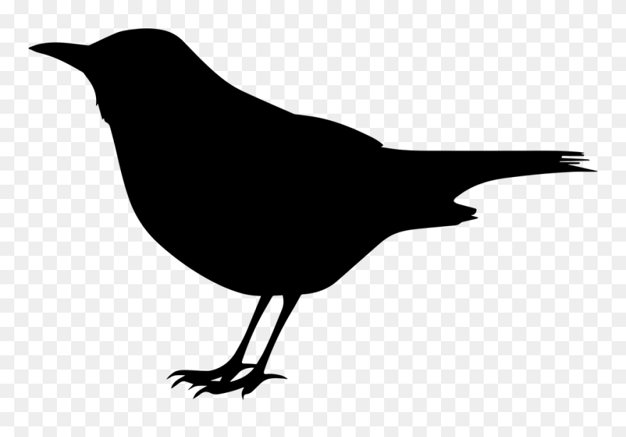 Black Bird Clip Art - Blackbird Silhouette - Png Download