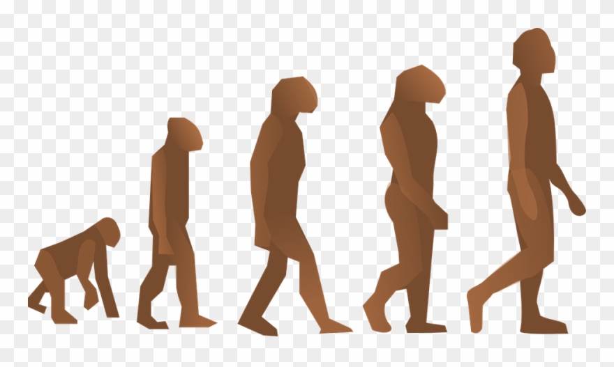 Clipart Info - Does It Mean To Be Human - Png Download