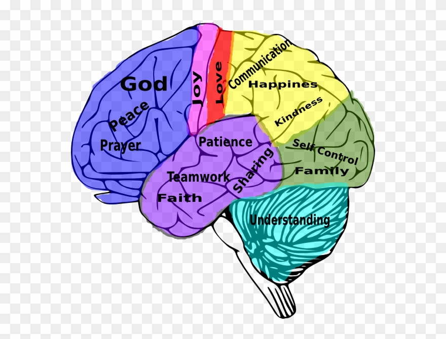 Human Brain And Social Media Clipart