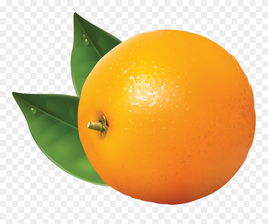 Orange Clip Art - Orange Clipart Transparent Background - Png Download