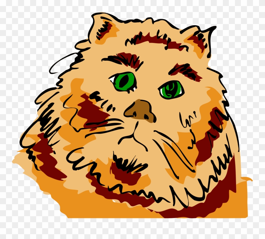 Bengal Cat Popular Cat Names Dragon Li Pixie-bob Tabby - Cat Clipart