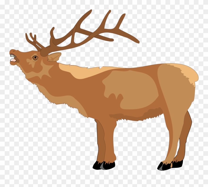 Raindeer Clipart - Clipart Library - Reindeer Clipart - Png Download