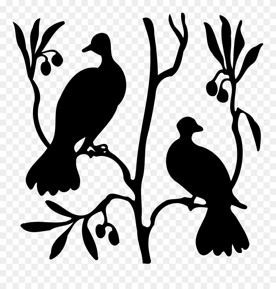 T-shirt Columbidae Line And Form - Clip Art - Png Download