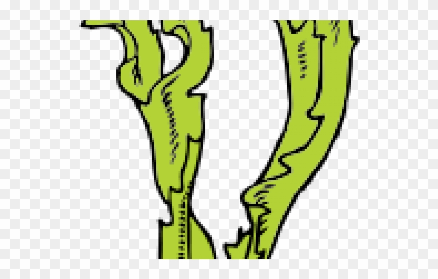 Seaweed Clipart Clip Art - Seaweed Clip Art - Png Download