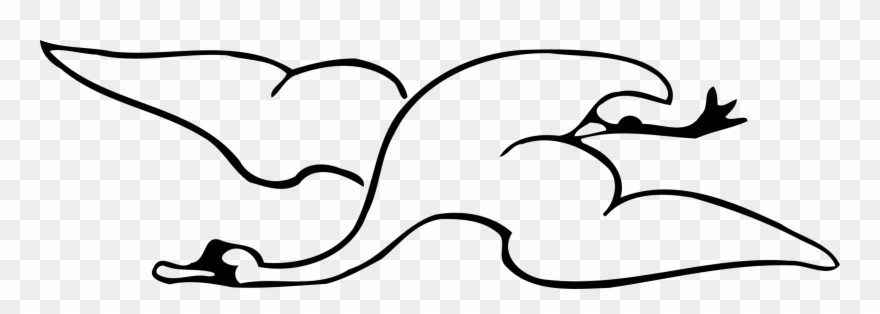 Mute Swan Bird Flight Line And Form - Cygnini Clipart