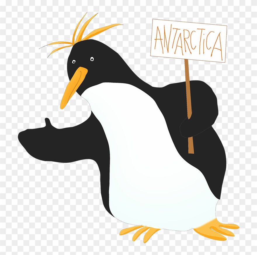 Penguin Violinist - Macaroni Penguin Clipart - Png Download