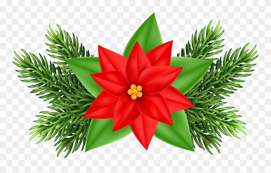 Clip Art Christmas Poinsettia - Png Download