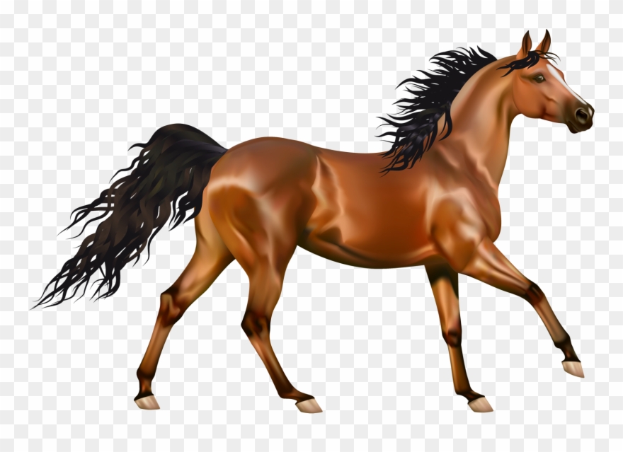 - - Inikao 32 Page Multi Colour Colouring Book Set Of 4 Clipart