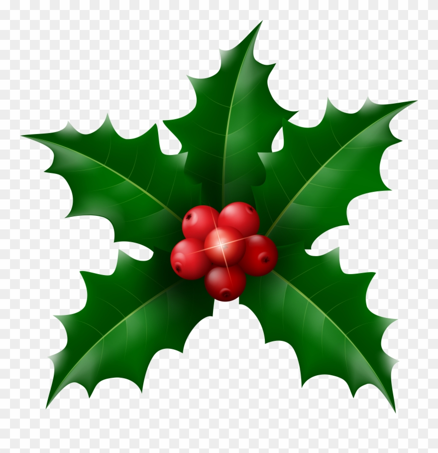 Holly Images Free Clip Art - Png Download