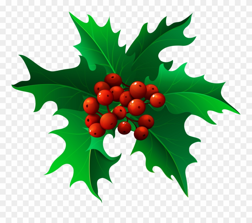 Holly Images Free Clip Art - Png Download