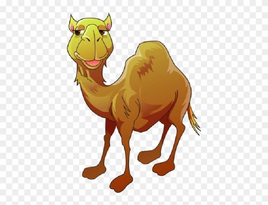 Funny Camel Clipart Pictures - Clipart Camel - Png Download