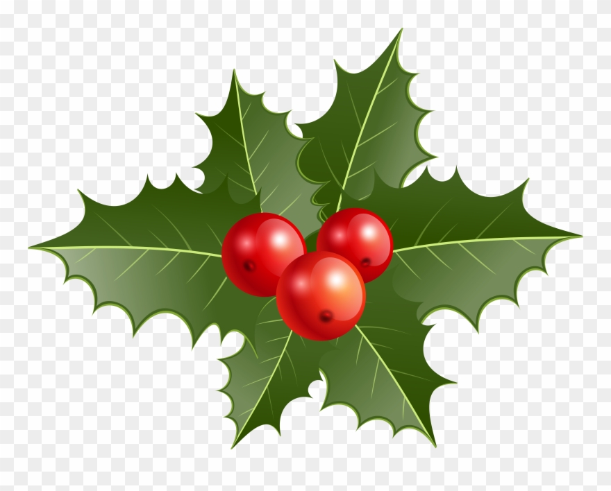 Holly Clipart For Free Download - Png Download