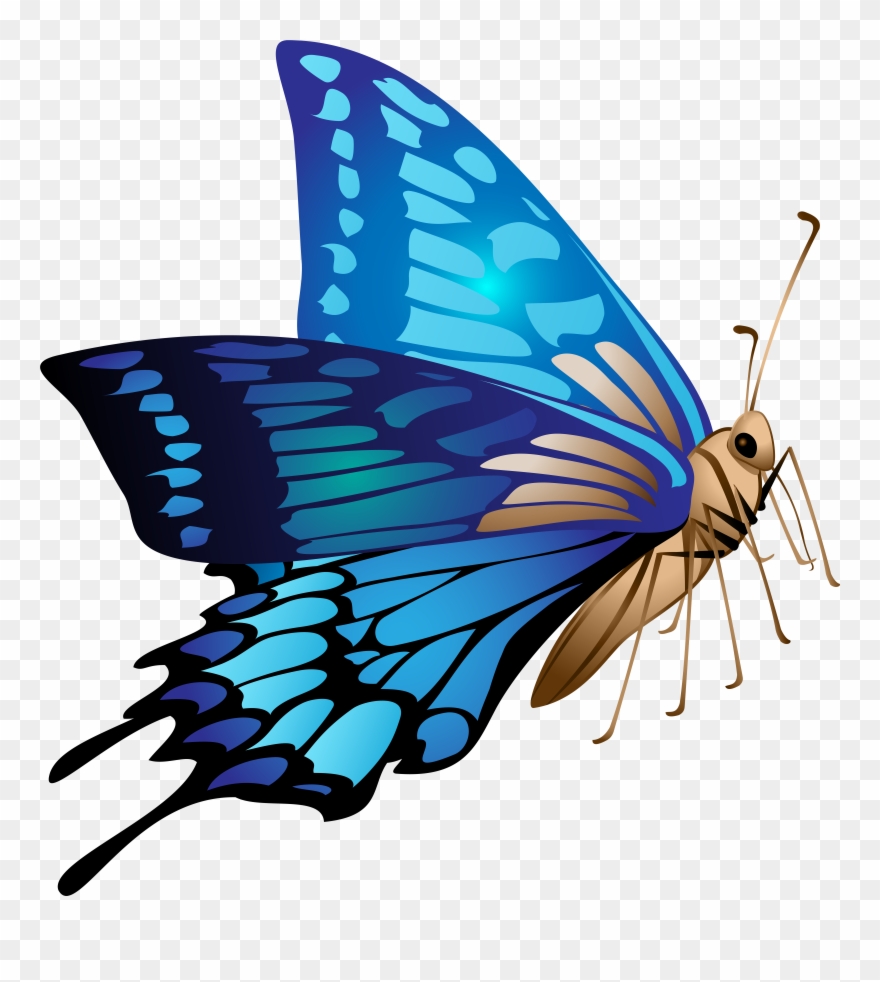 Christmas Banner Clipart - Png Download