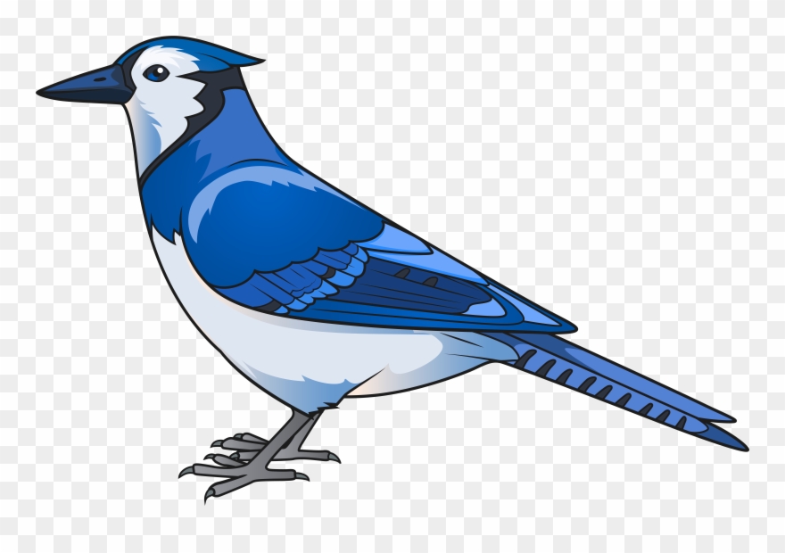 Christmas Card Clipart - Blue Bird Clipart Png Transparent Png