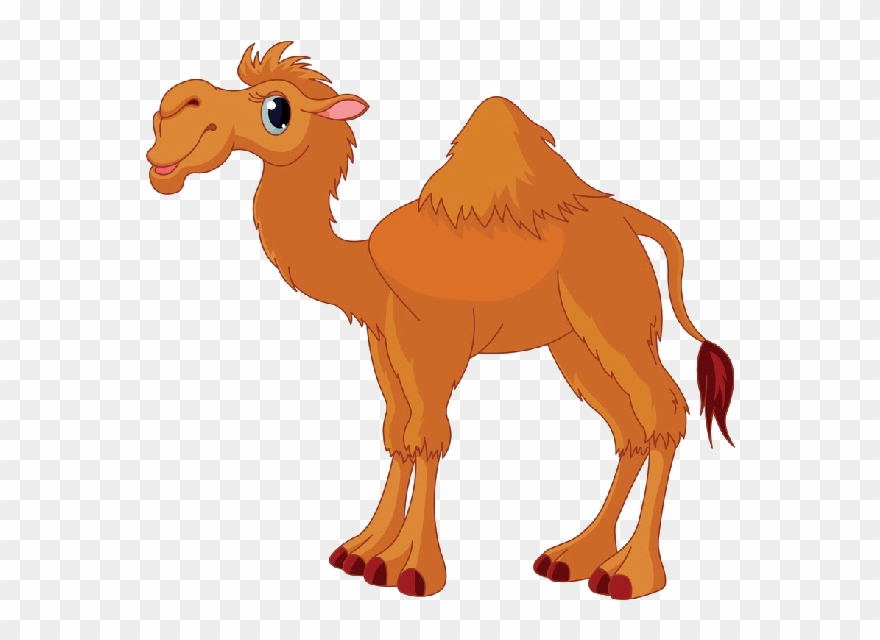 Vector Clipart, Vector Free, Camels, Vector Design, - Clipart Camel - Png Download