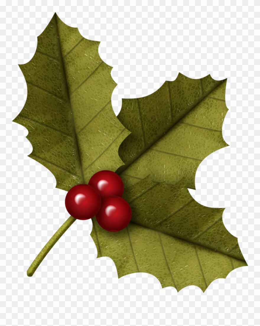 Christmas Holly Clip Art - Christmas Leaf - Png Download