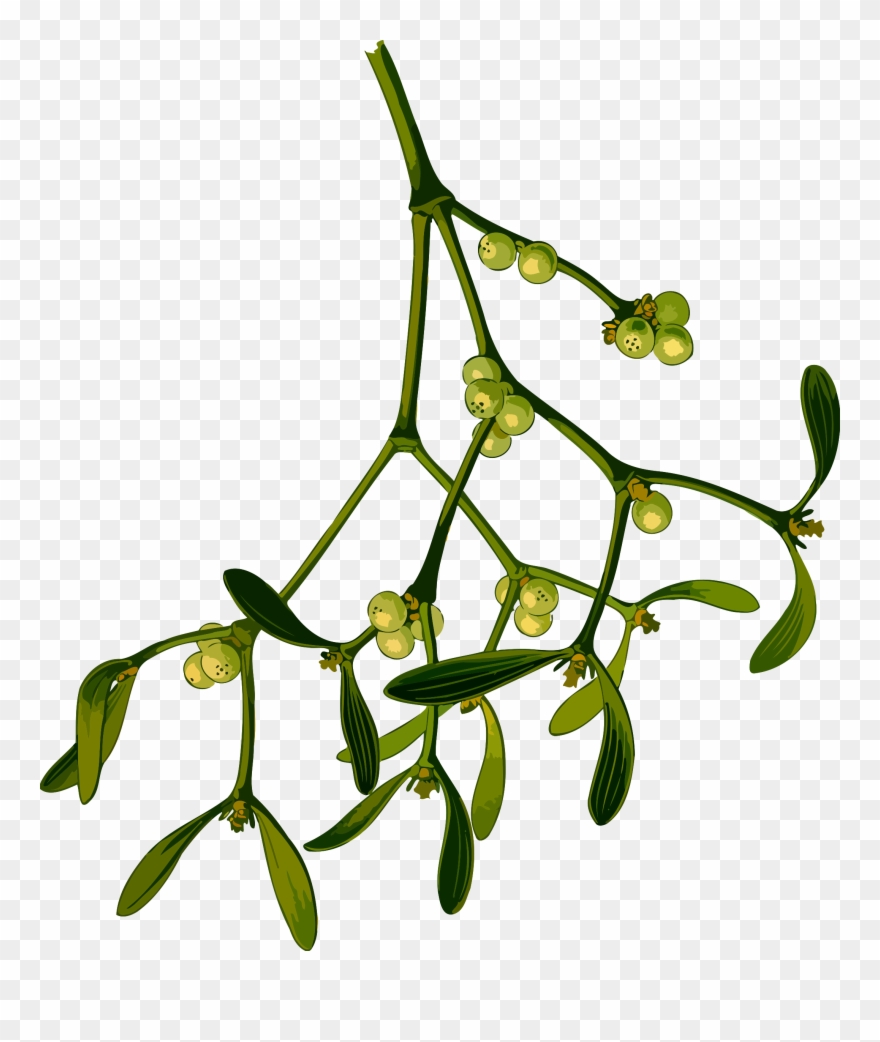 Christmas Mistletoe Computer Icons Vintage Christmas - Clipart Mistletoe - Png Download