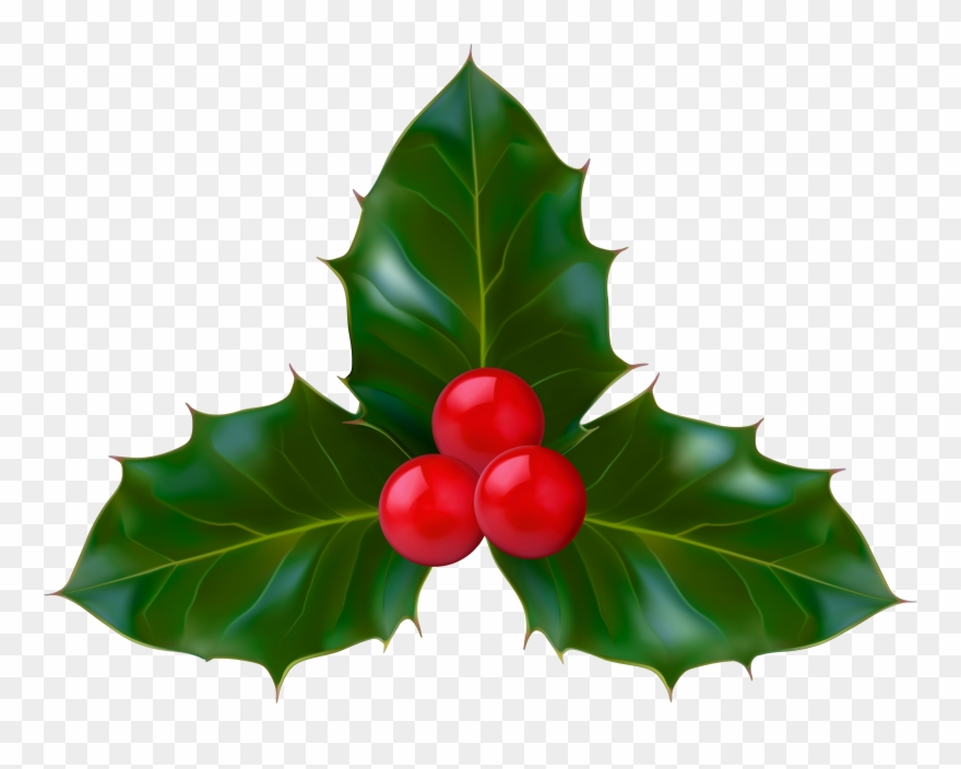 Clip Art - Png Download